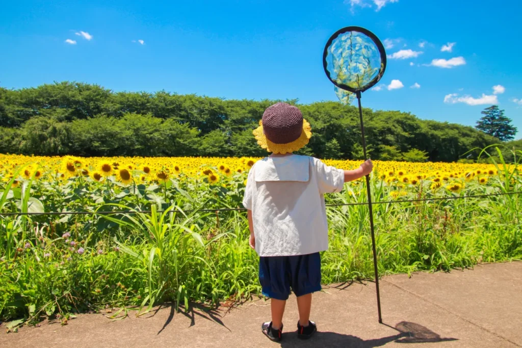 兄弟がいない環境を活かす体験学習