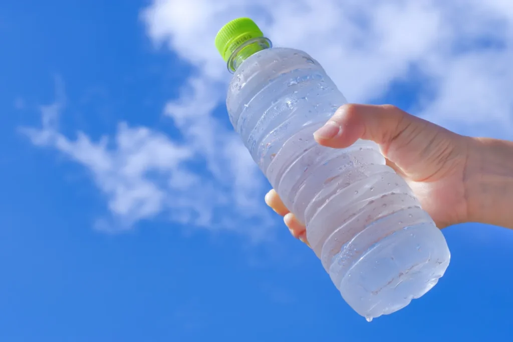 美しい葉を維持するための正しい水やりと管理