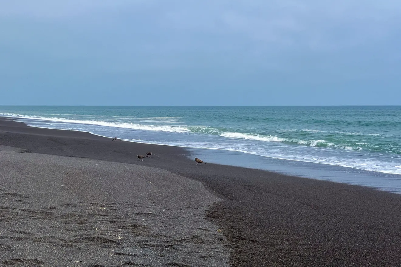 スマホを持たない海水浴の楽しみ方