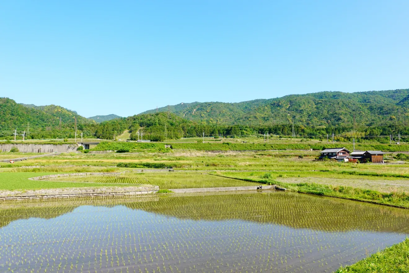 職員の夏季休暇による影響と注意点